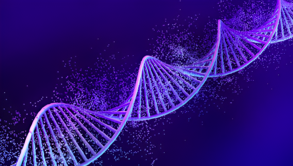 Chromosome image